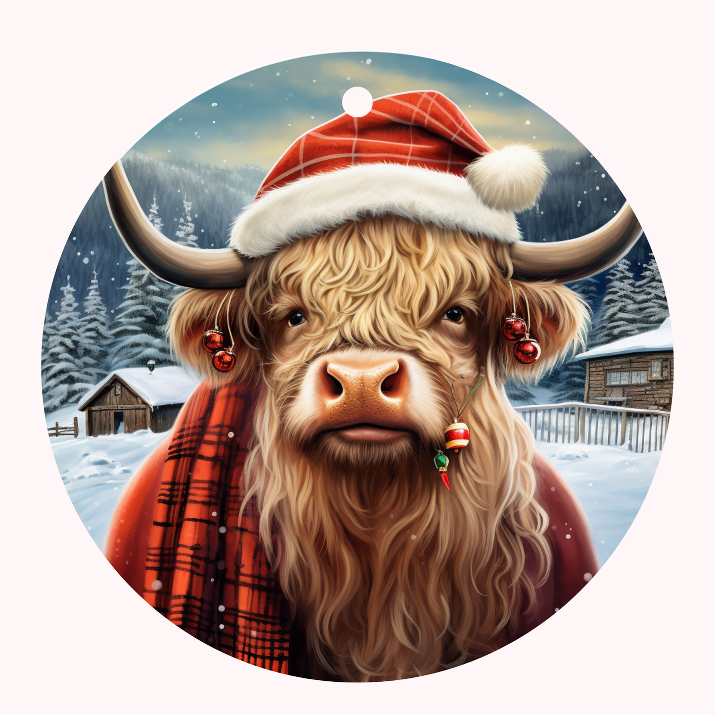 51 Highland Cow